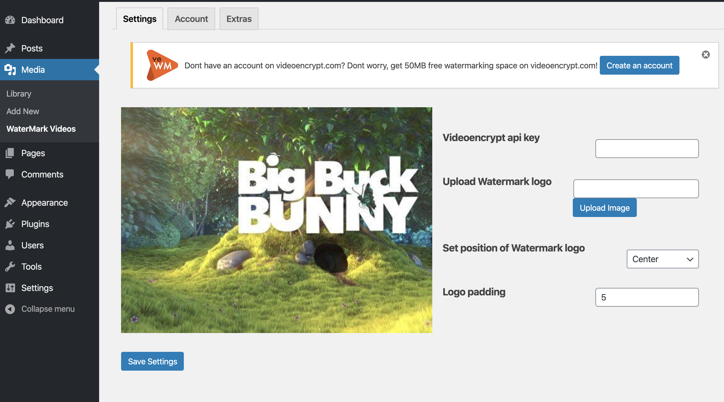 Account & API Key