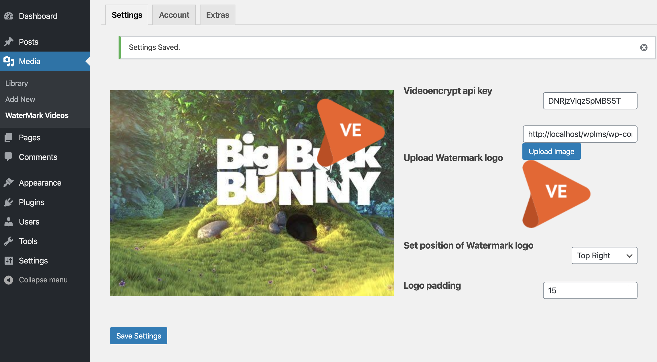 Watermarked Video