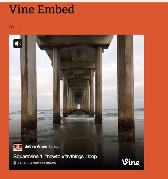 An example of an embed video.
