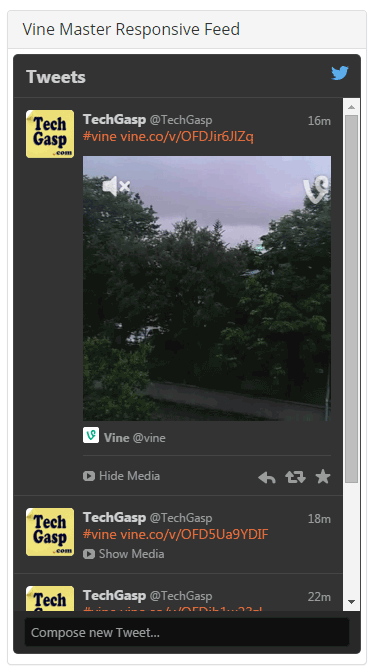 Vine Master Responsive Feed Widget