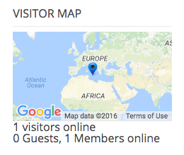 The visitor map in the sidebar on a website.