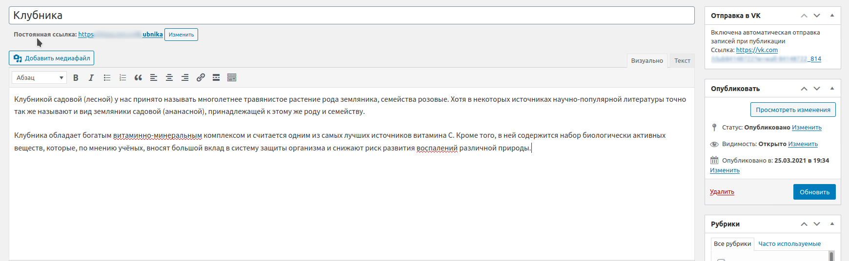 Пост в редакторе WordPress перед отправкой