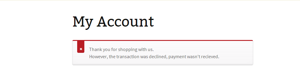 Failed Payment Transaction Declined Message