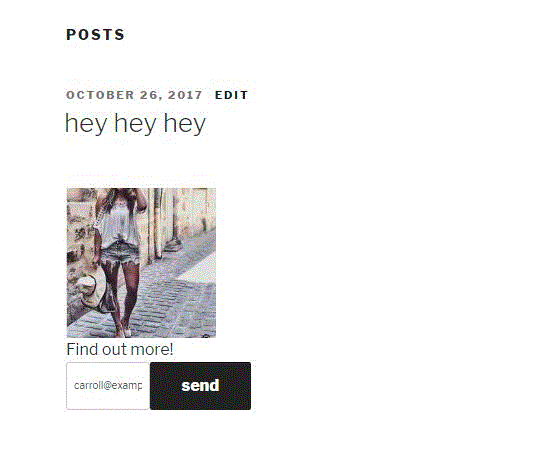 Can use multiple images with lead capture within the same post/page