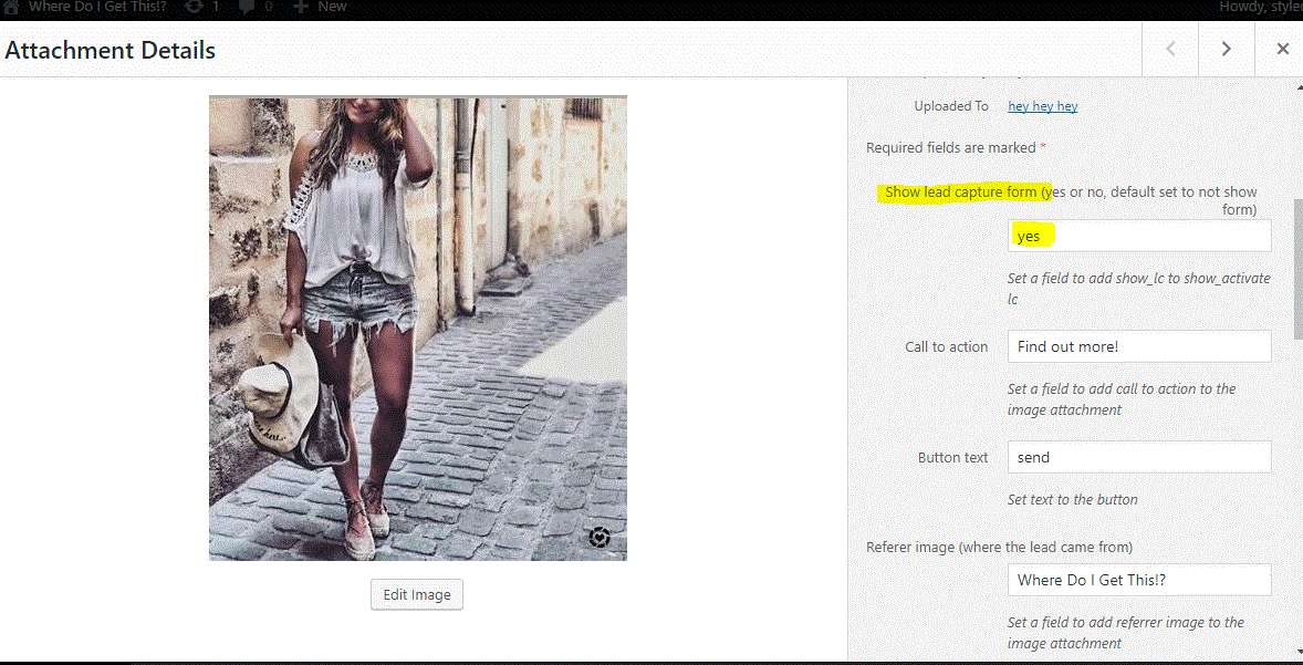 Options to activate image lead capture on the media library page.  To activate set 'show lead capture form' to yes.