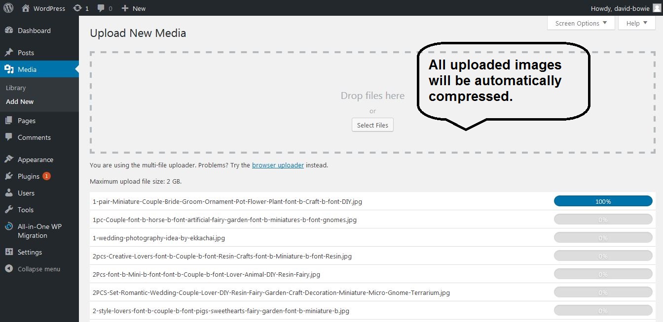 Two columns added by plugin: **original image** and **Way2enjoy Stats**, as well as the new **Optimize This Image** button which is present for images which already exist in media library. Stats and optimization type are shown for optimized images.