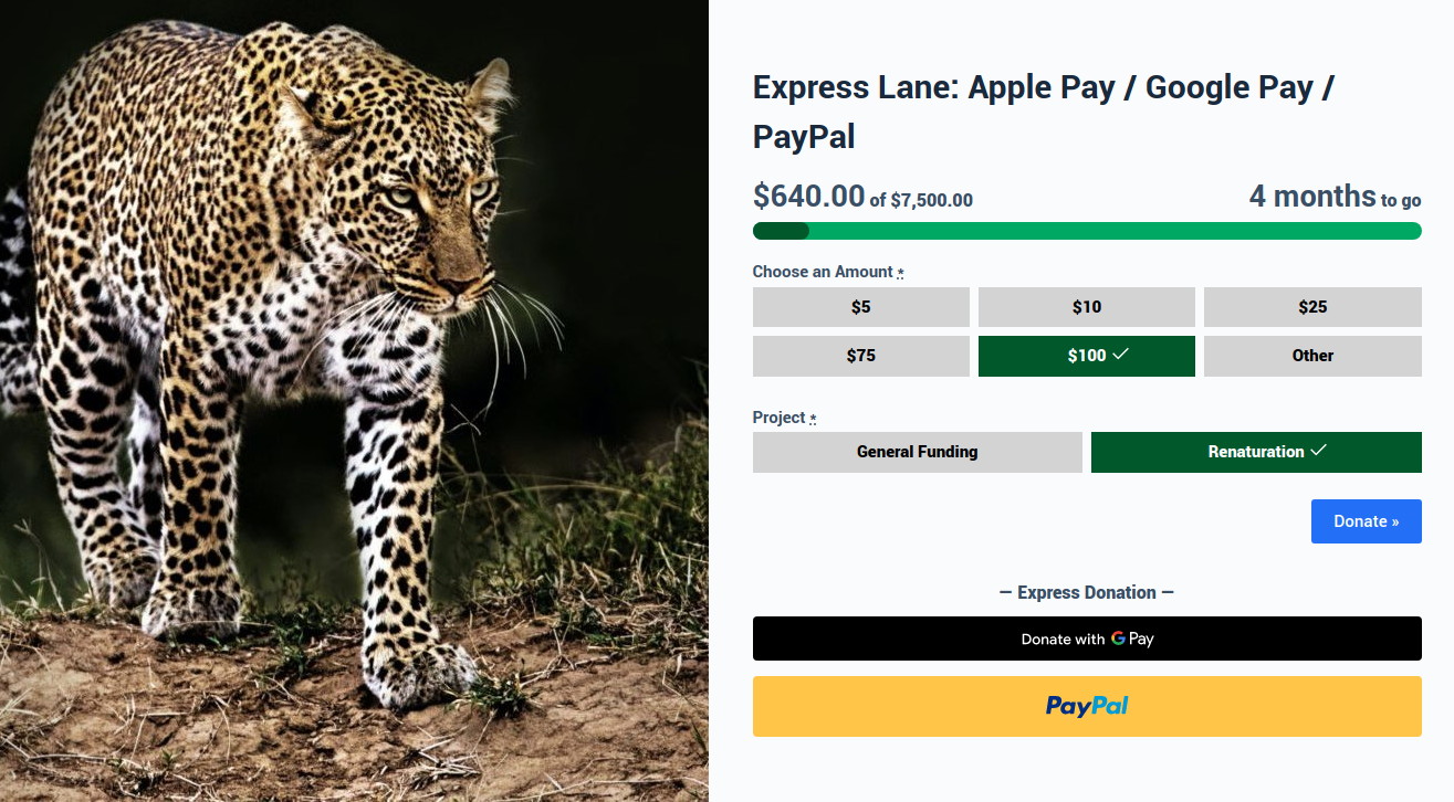 Express Donations allow your supporters to donate to you in less than 20 seconds via Apple Pay / Google Pay / PayPal
