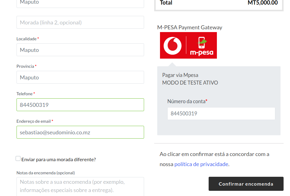 Página da Finalização do pagamento com o método de pagamento selecionado com o campo para digitar o número do telefone mpesa