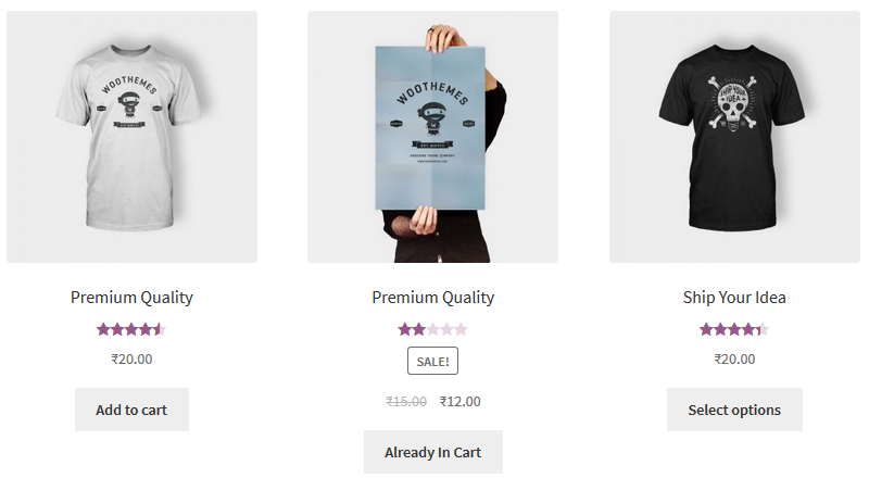 Already In Cart View In Shop page