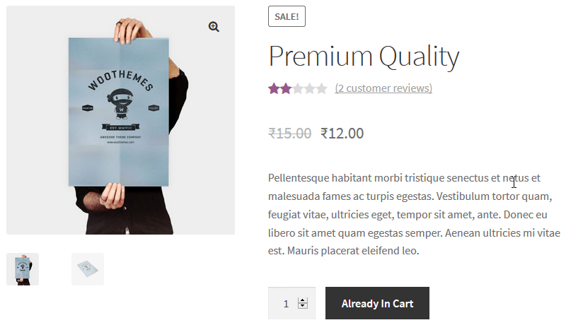 Already In Cart View In Single Product Page