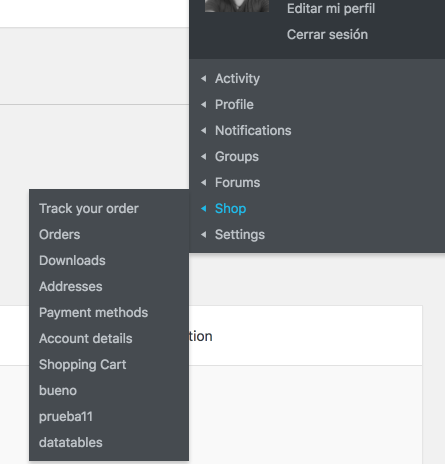 Admin menu options