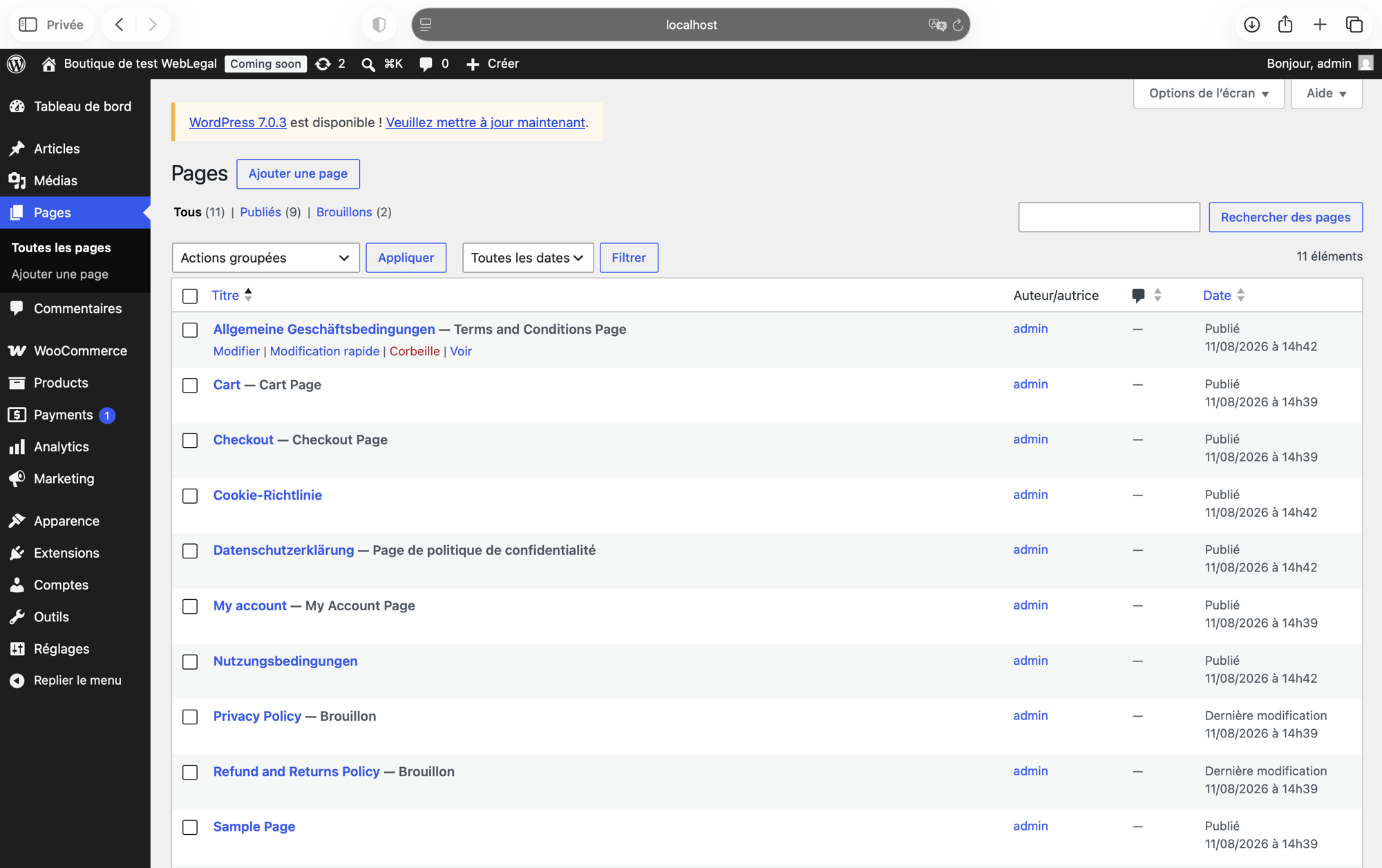 Pages published and wired into WordPress and WooCommerce.