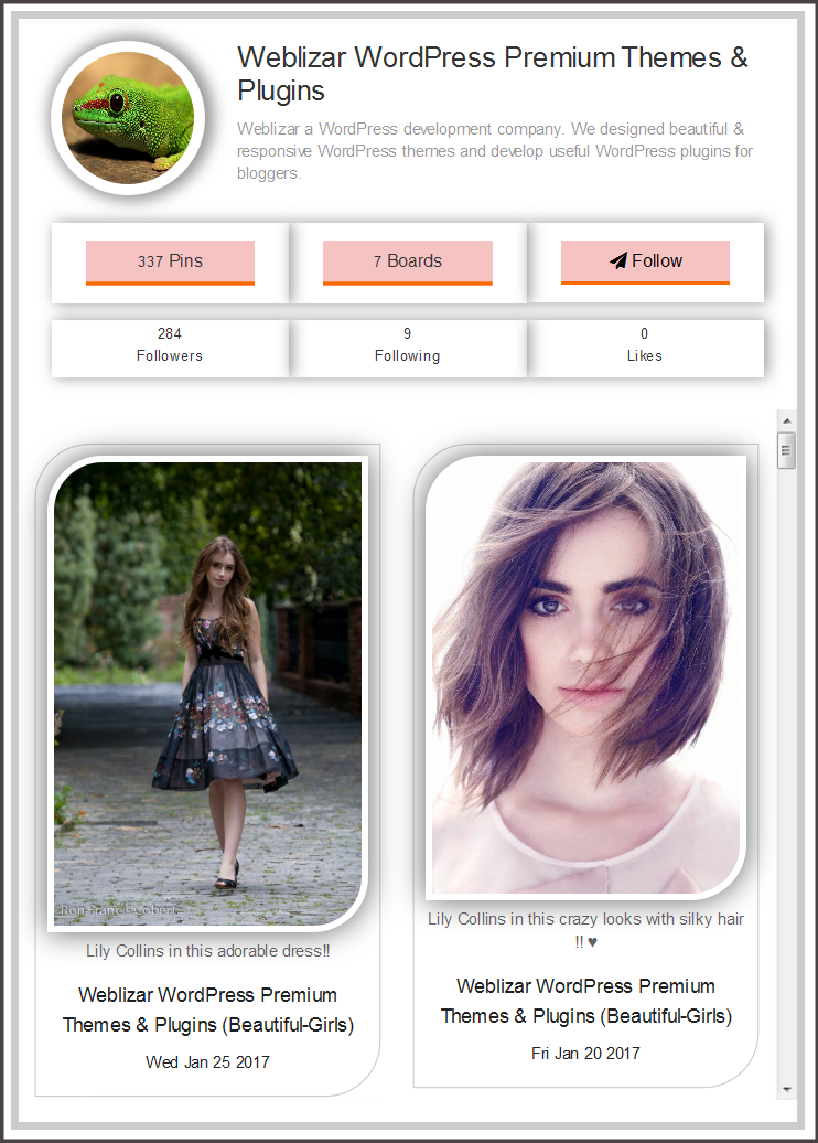 Live Preview of Pinterest Profile & Pins