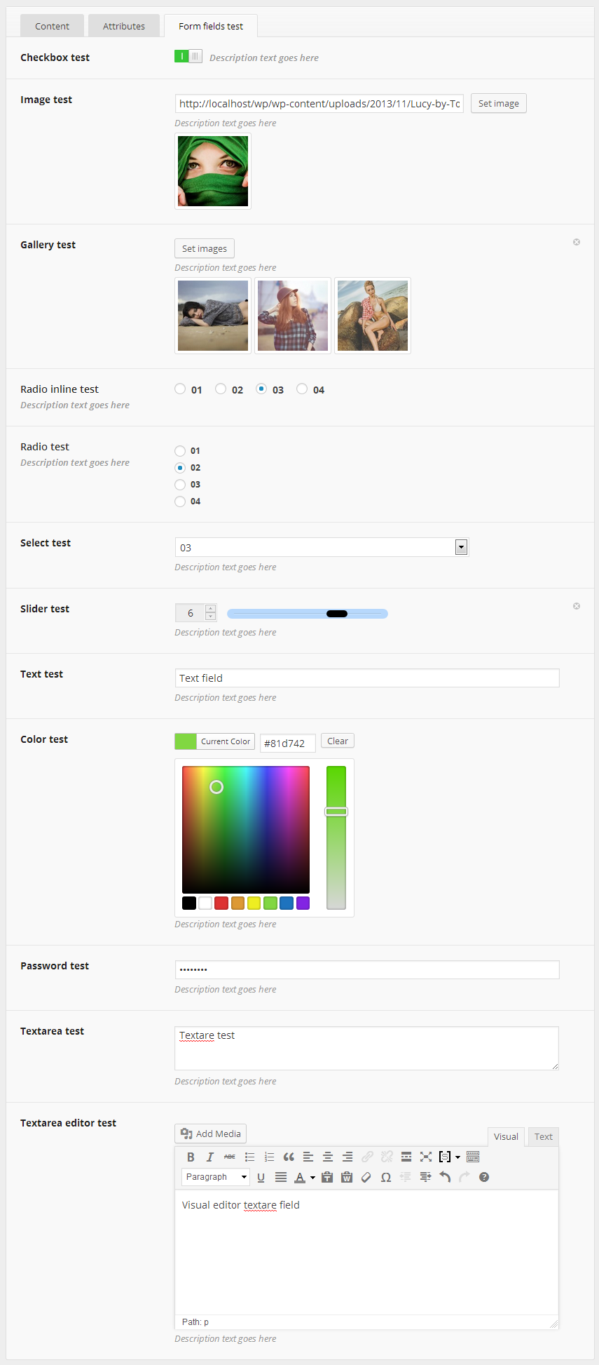 Metabox form fields preview