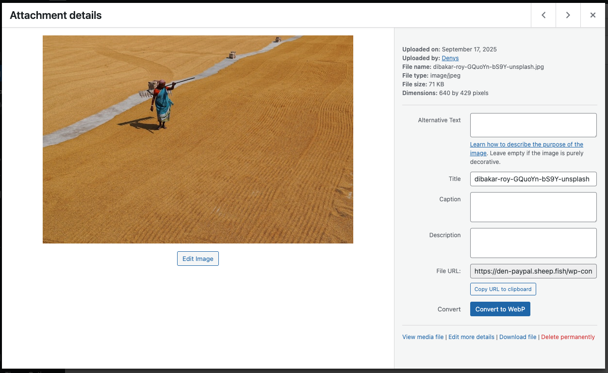 **Convert Single Image** – Convert individual images directly from the attachment page.