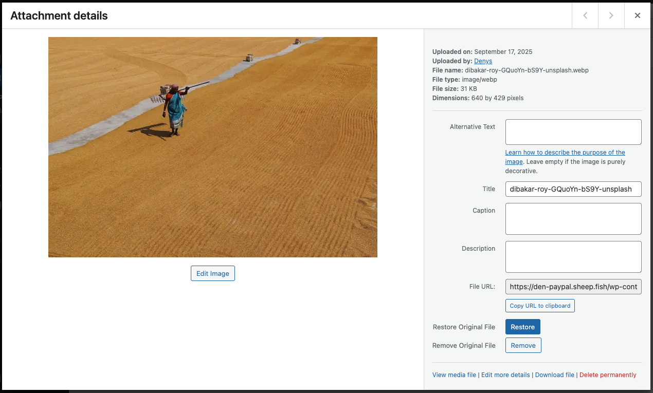 **Restore or Remove Original file** – Restore or remove originals for a single image from the attachment page.