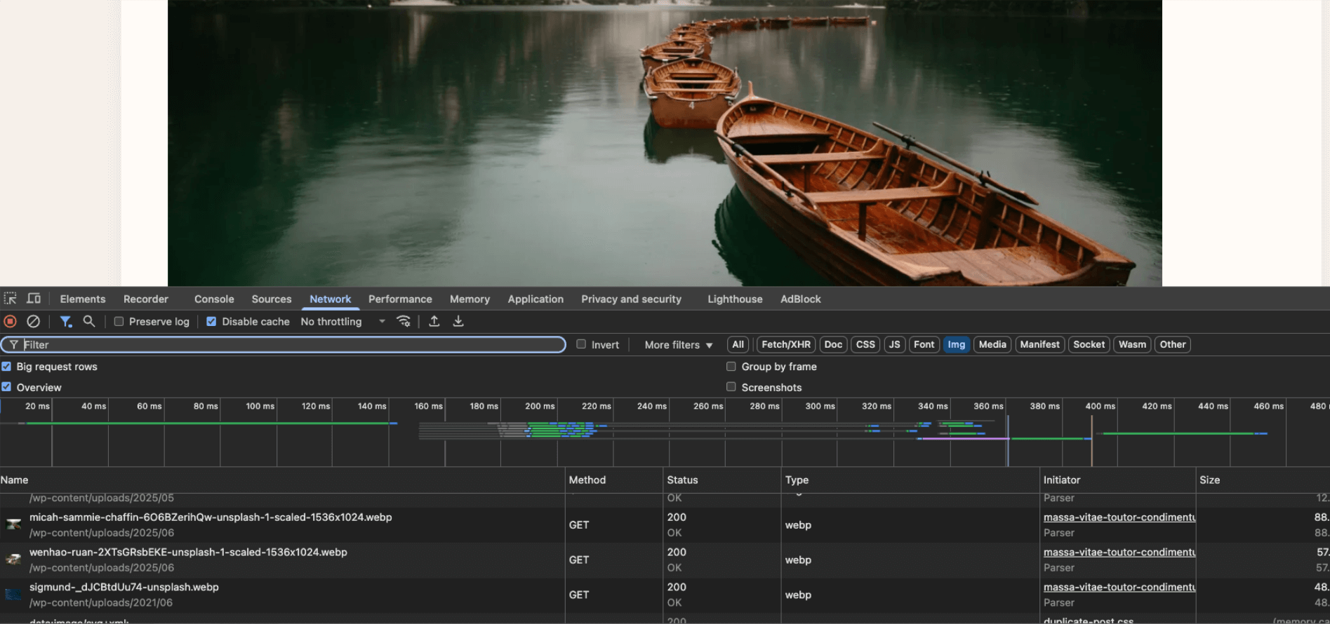 **Dev Tools View** – Confirm `.webp` files served on the front-end.