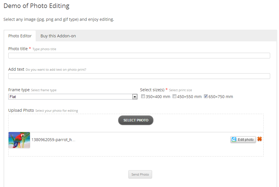 Showing filled Form with an Uploaded File