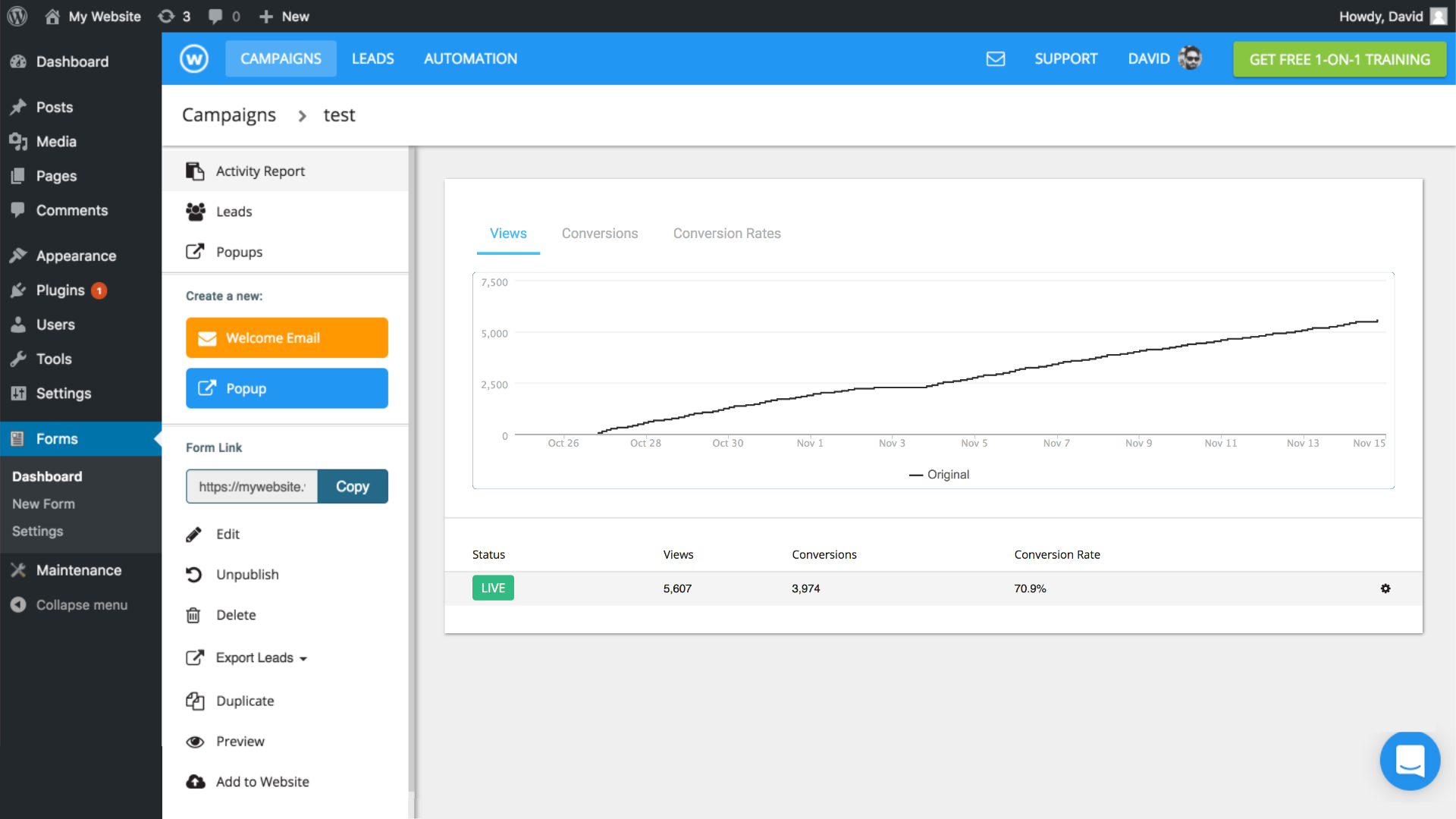 Leads Management Dashboard