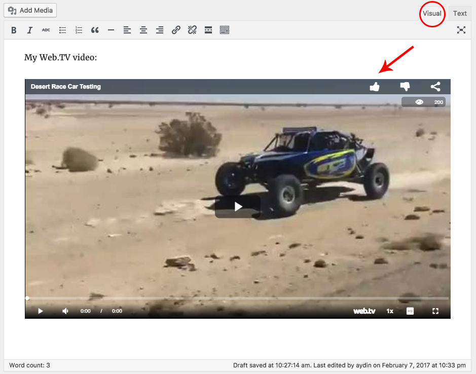 Pasting the video URL to the visual editor.