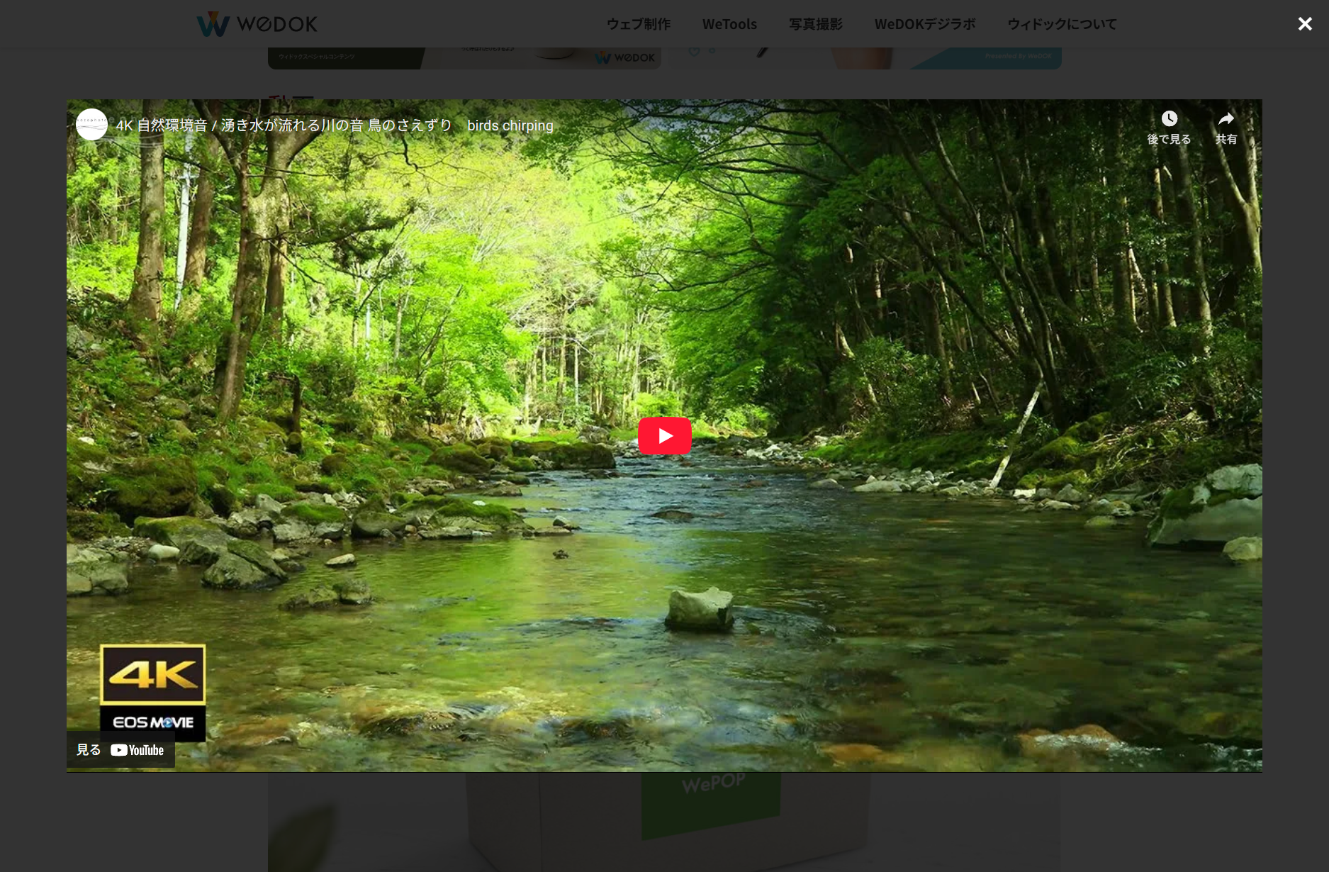 YouTube popup example