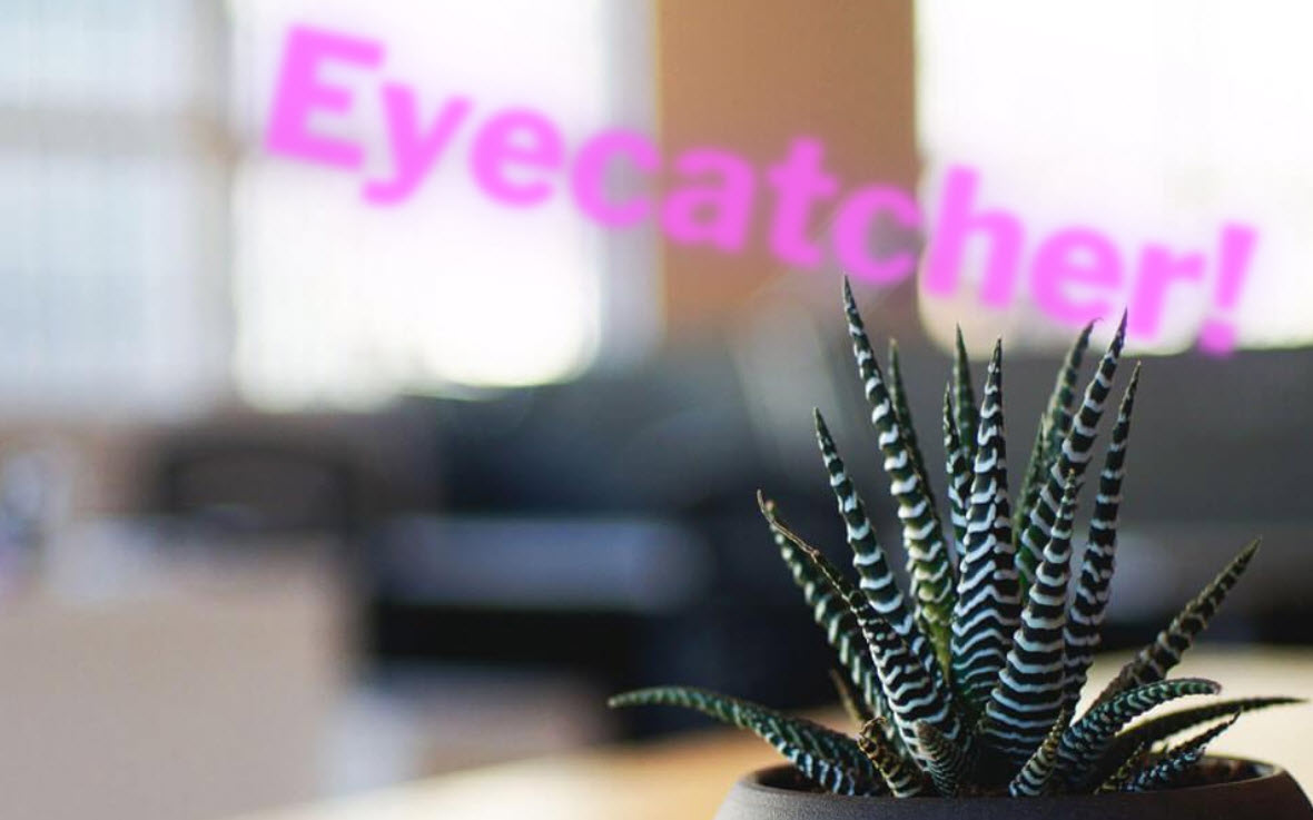 screenshot-1.jpg - Eyecatcher example in the frontend on top of WordPress standard theme Twenty Seventeen