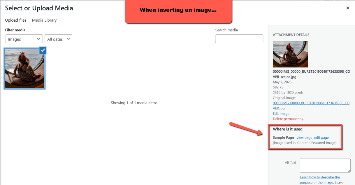Where to find the image usage details when inserting an image onto a page.