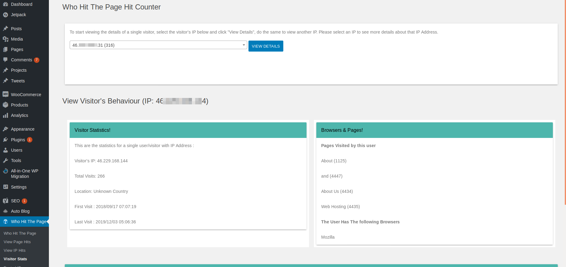Single visitor's detailed information: the ip address, total visits for that Ip address, browser used, time of first and last visit.