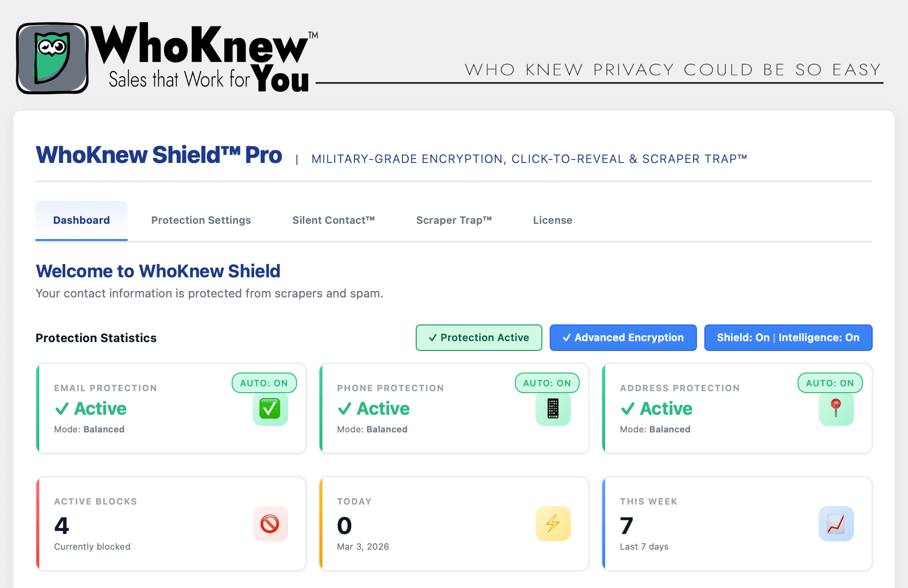 **Auto-Detection** — Automatically find and protect emails; phone and address detection in Pro