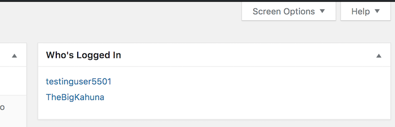 The Who's Logged In Metabox that gets added to your Dashboard home page.