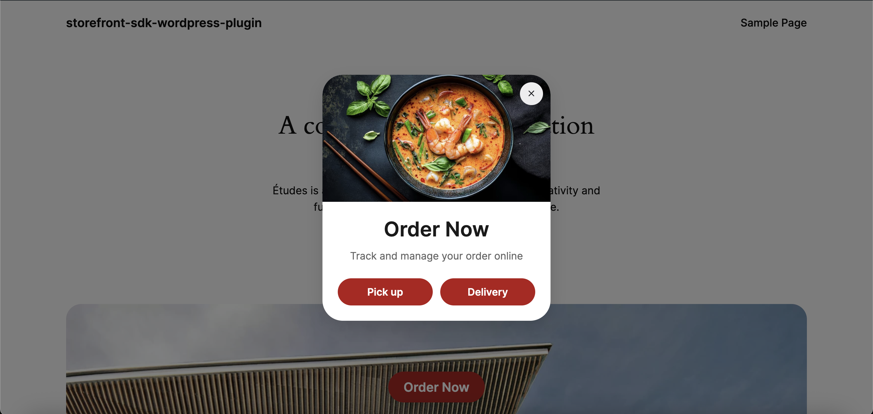 Order Now Widget on Your Website (Desktop) – The “Order Now” widget appears automatically on your website once saved.