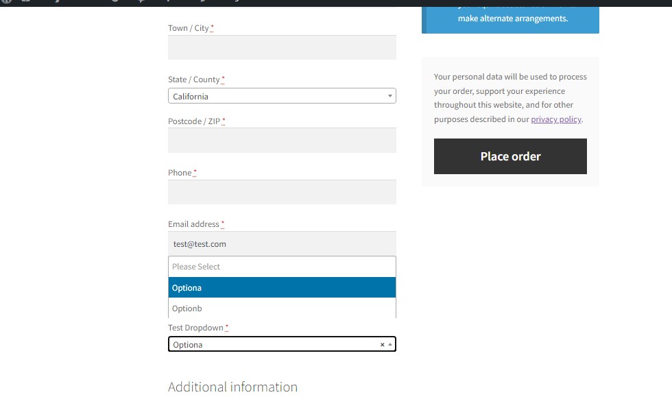 How your fields will look on front end