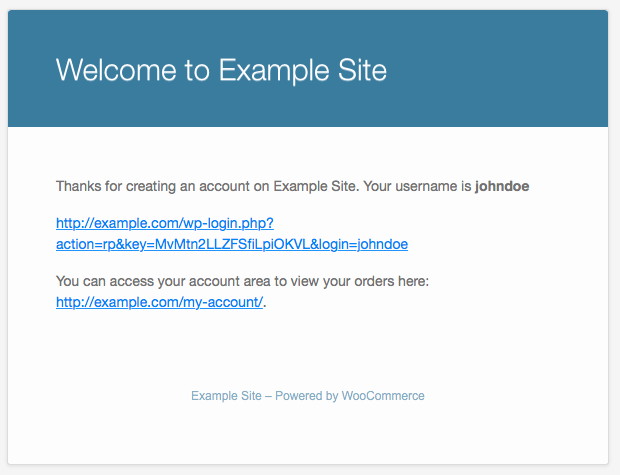 Sample new customer email