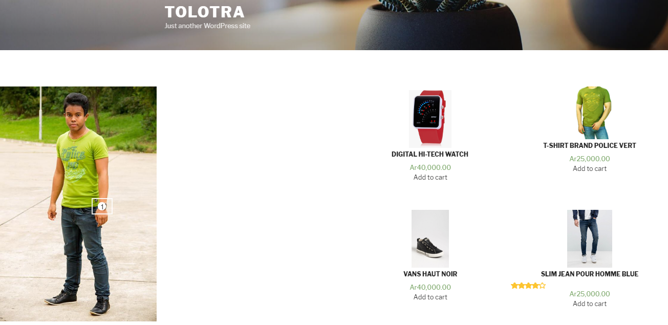 This shows a single annotation. You can see how things are labelled when the user hovers on top of the product.