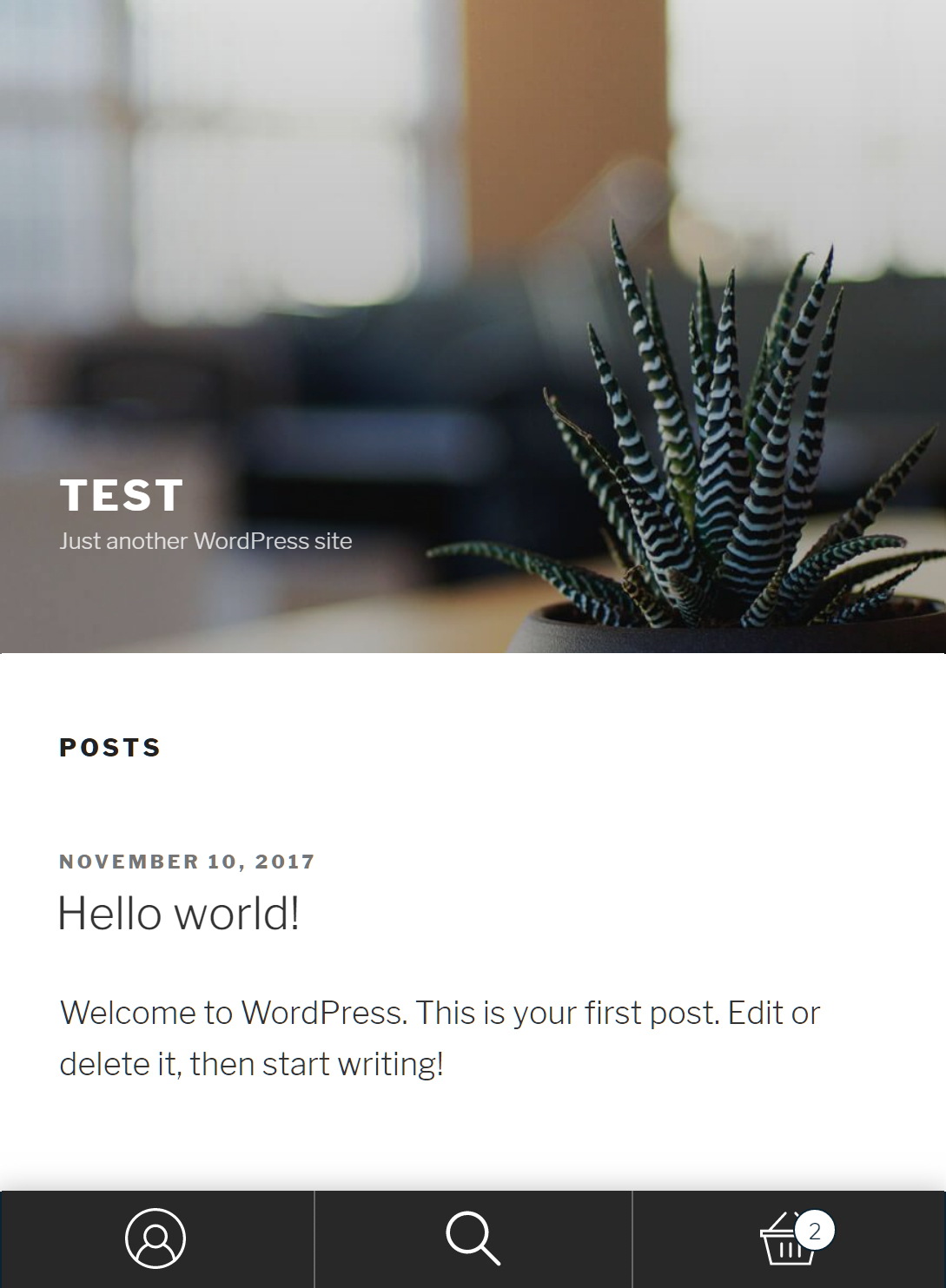Example of how it looks on your website.