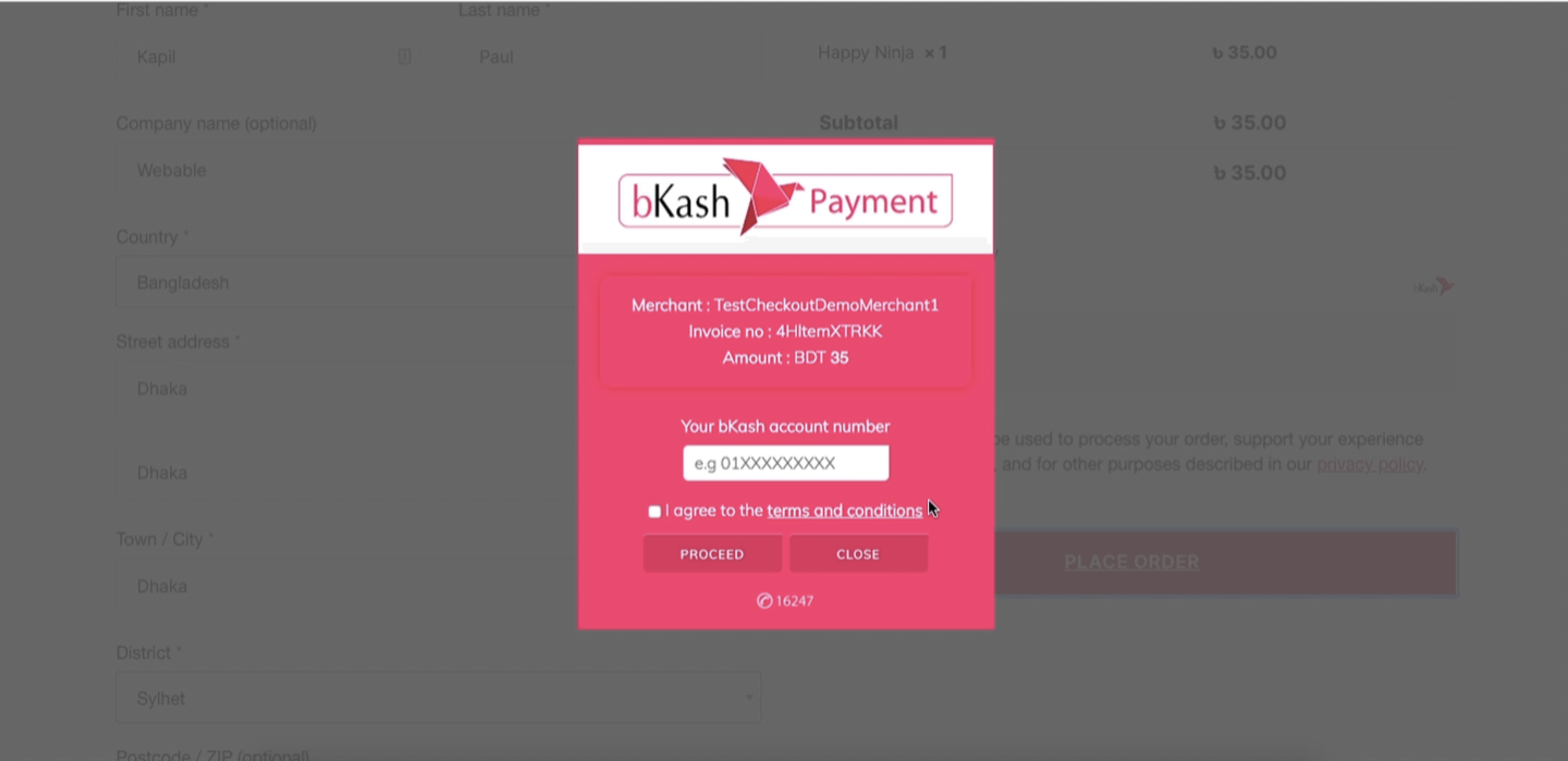 bkash main payment