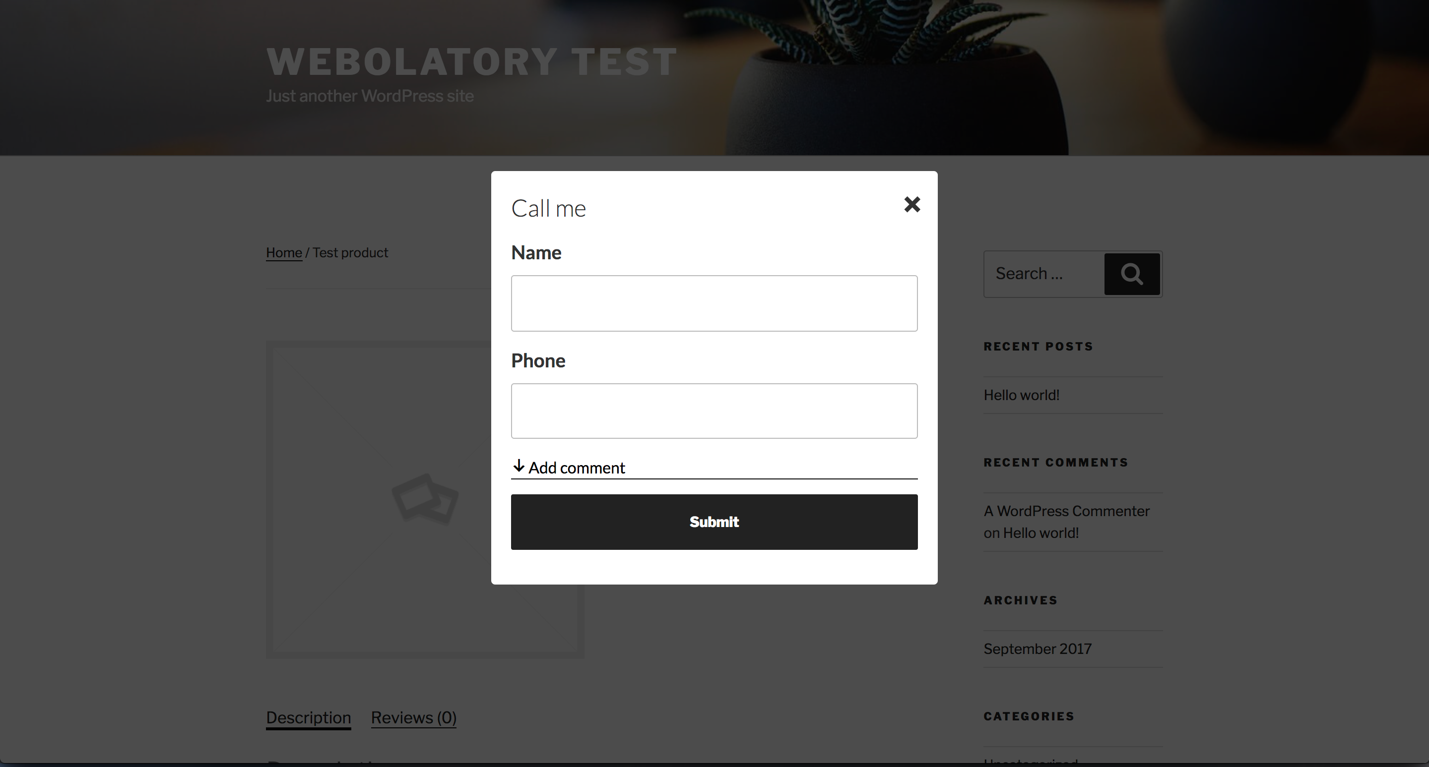 Plugin front-end form