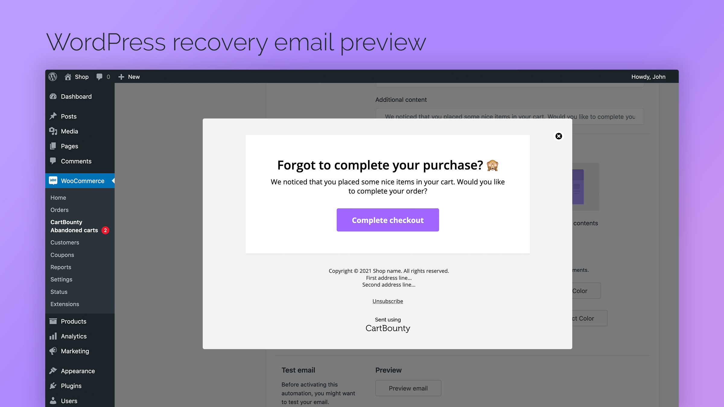 WordPress recovery email preview