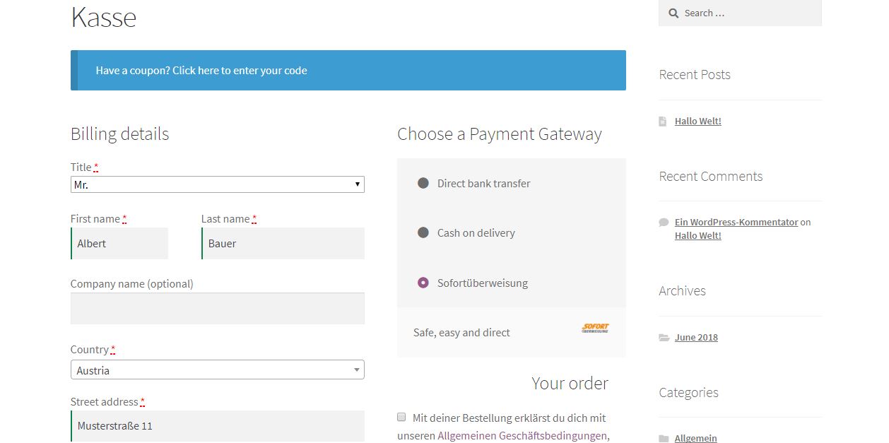 Frontend view checkout page select payment method