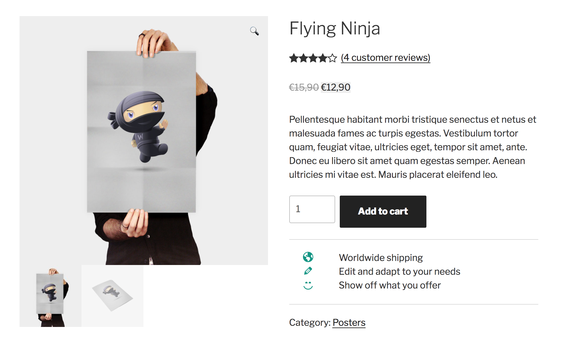 Example of USPs displayed on a Single Product Page.