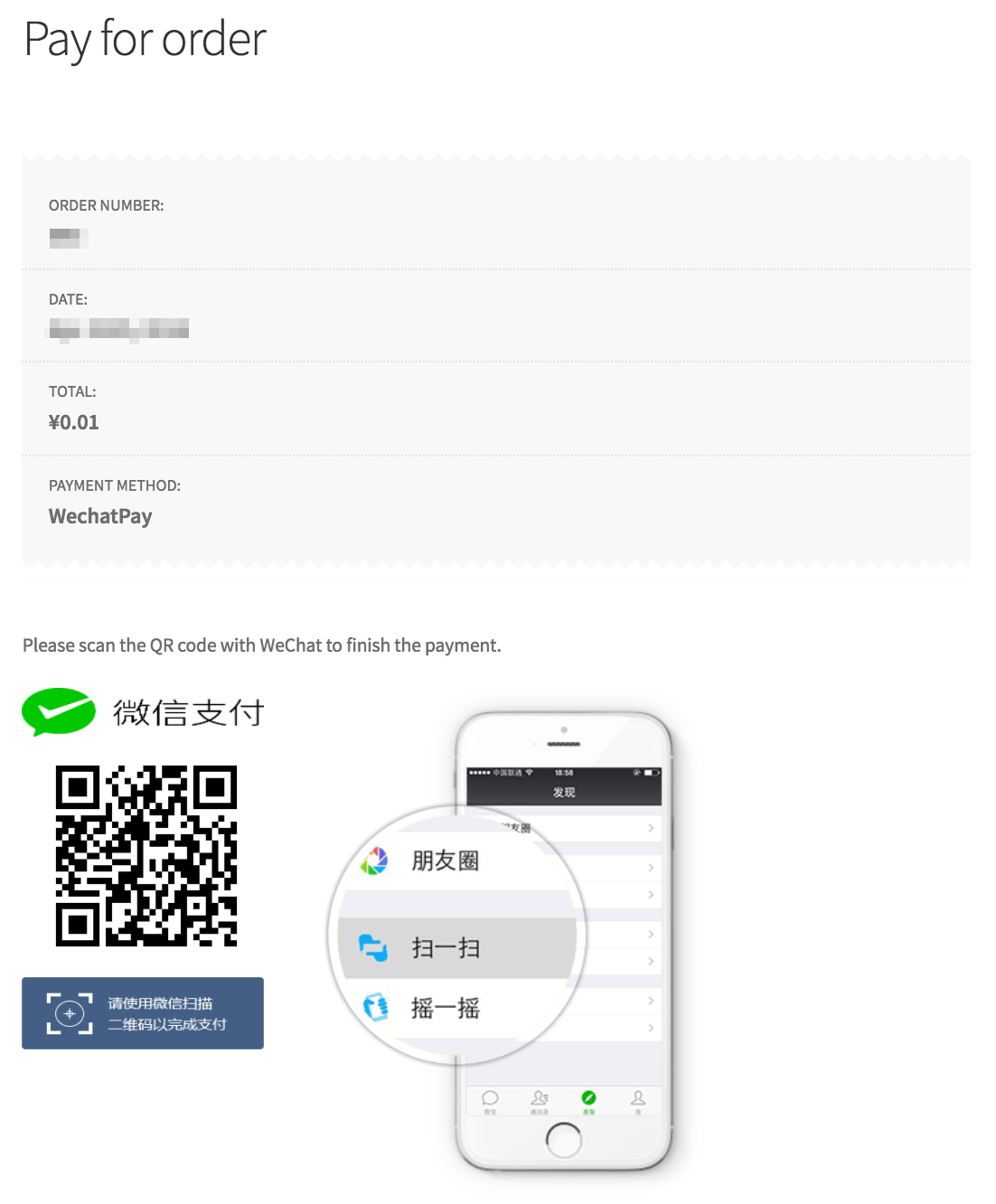 The QR code payment screen in classic browsers.