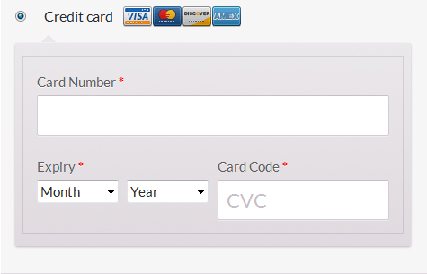 Frontend shop Checkout page Payment Form.