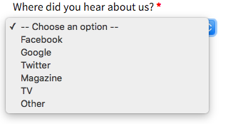 Et voila! An extra field at checkout with your options.