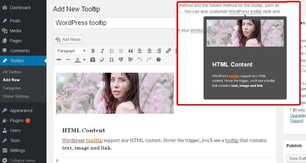 Add tooltips widget in back end