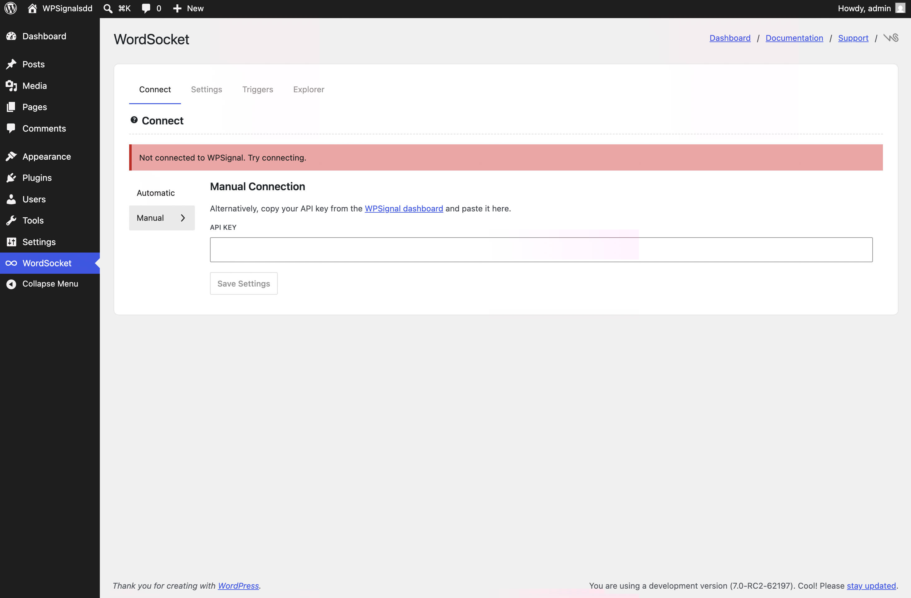 Connect tab (Manual): paste your API key directly for setups where the automatic flow is unavailable.