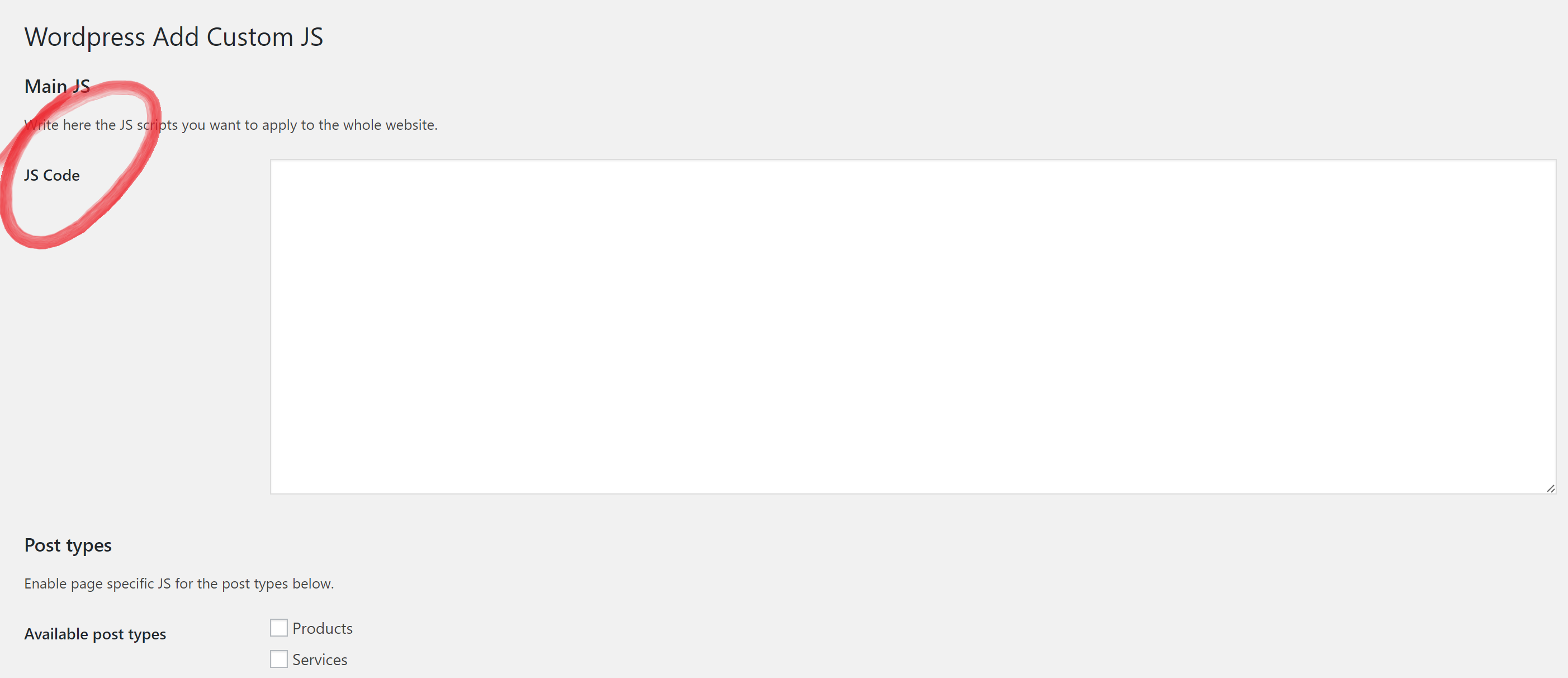 Add custom JS to the whole website.