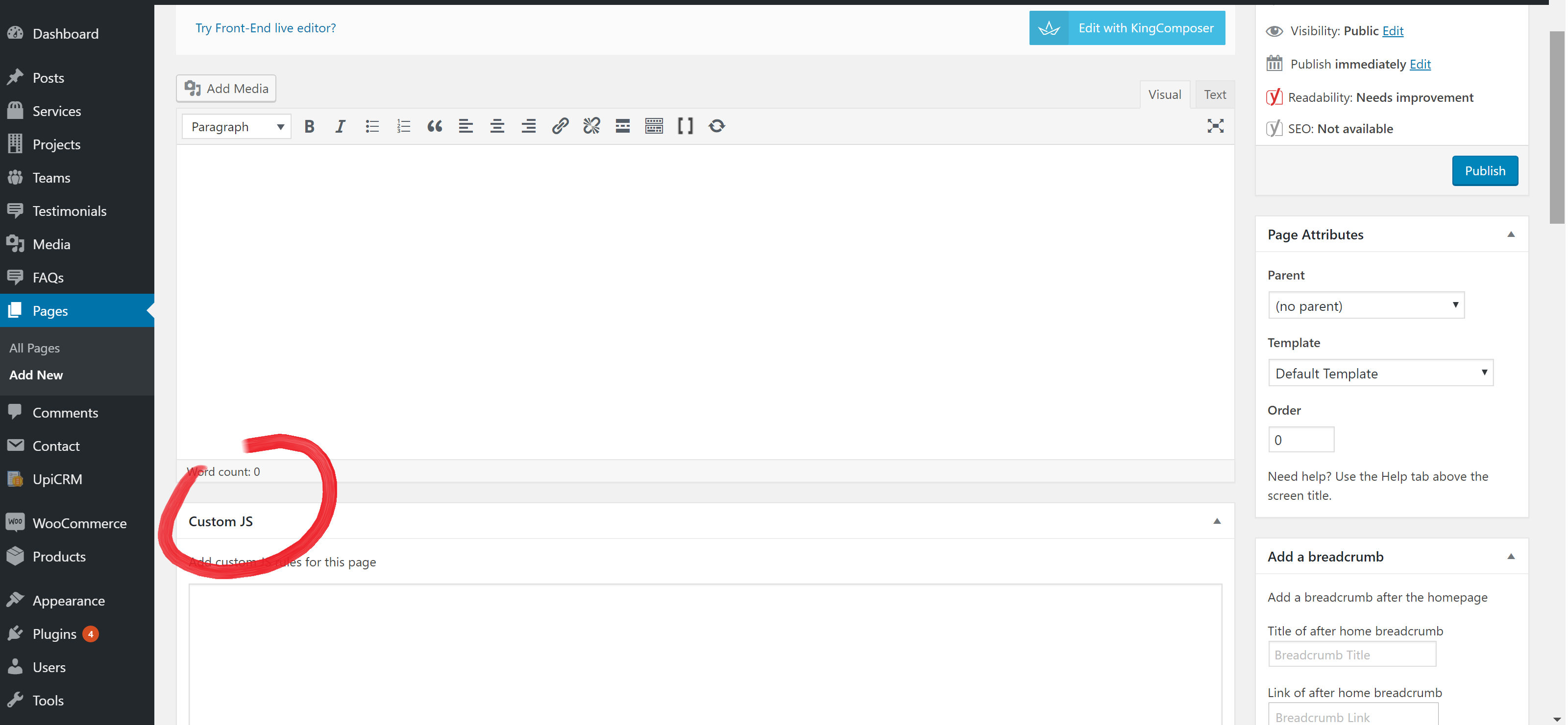 Add custom JS to specific pages.