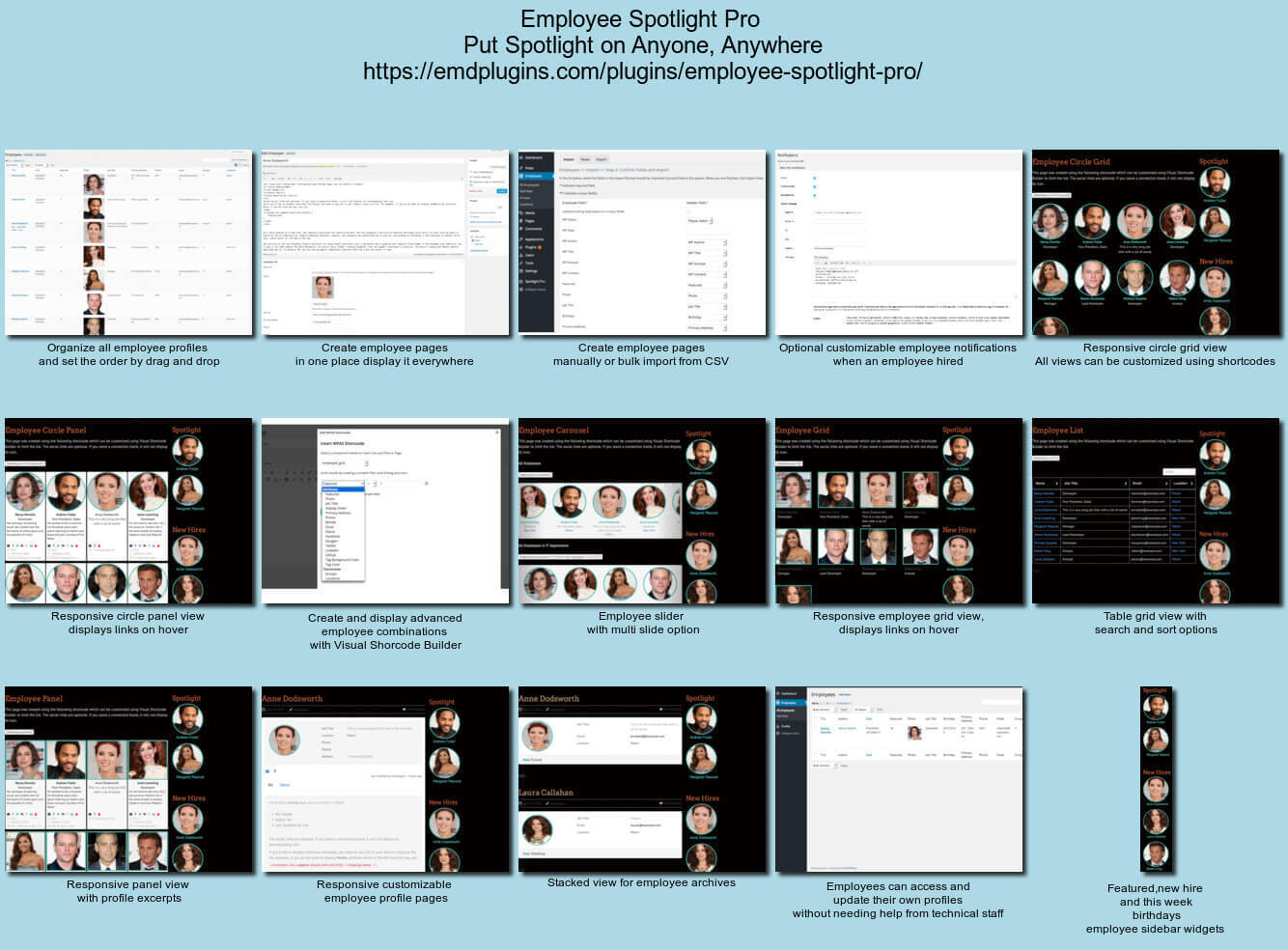 [Software Issue Manager Enterprise Edition](https://emdplugins.com/plugins/software-issue-manager-enterprise/) was created and has been maintained using its [plugin design](https://emdplugins.com/designs/software-issue-manager-enterprise-wordpress-plugin-design/)