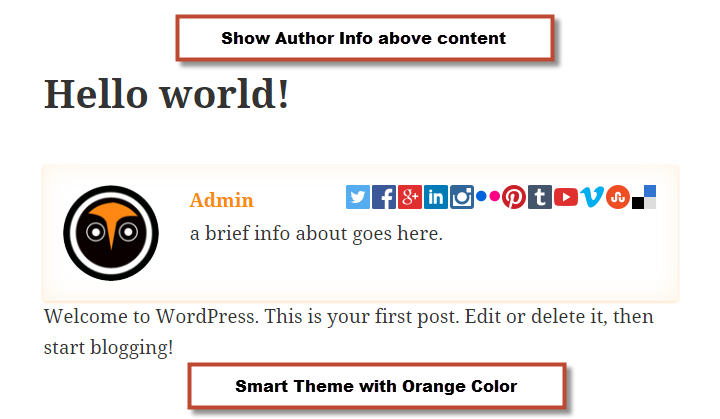 **Example 2** - Show author info below post content