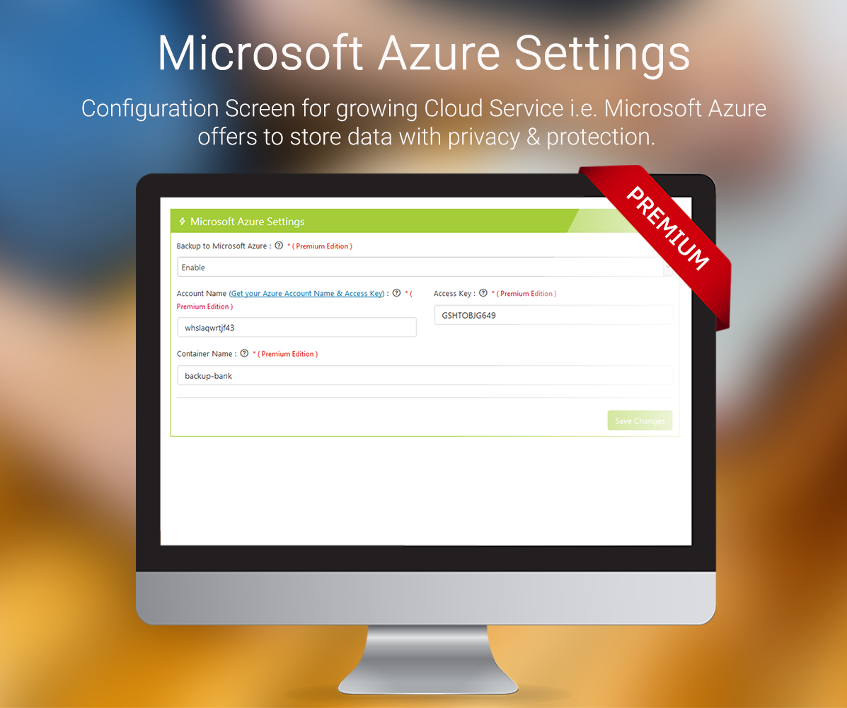 Alert Setup - WordPress Backup and Restore Plugin